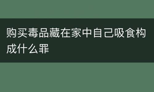 购买毒品藏在家中自己吸食构成什么罪