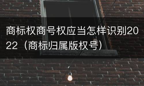 商标权商号权应当怎样识别2022（商标归属版权号）