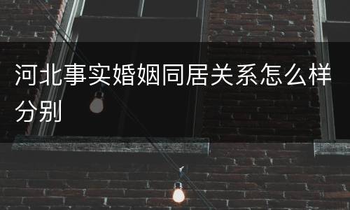 河北事实婚姻同居关系怎么样分别