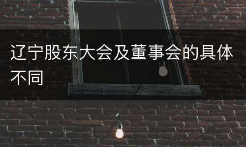 辽宁股东大会及董事会的具体不同