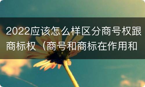 2022应该怎么样区分商号权跟商标权（商号和商标在作用和性质上有较大区别）