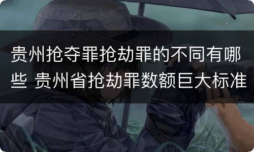 贵州抢夺罪抢劫罪的不同有哪些 贵州省抢劫罪数额巨大标准