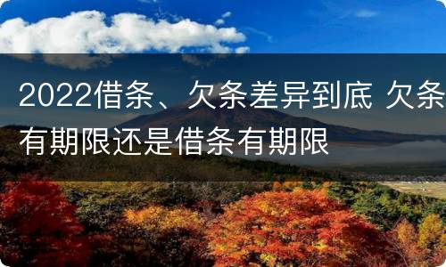 2022借条、欠条差异到底 欠条有期限还是借条有期限