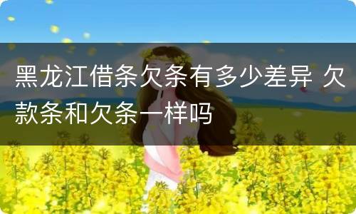 黑龙江借条欠条有多少差异 欠款条和欠条一样吗