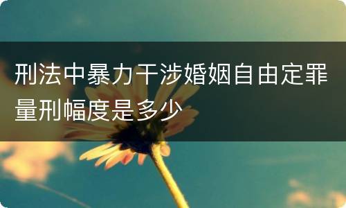 刑法中暴力干涉婚姻自由定罪量刑幅度是多少