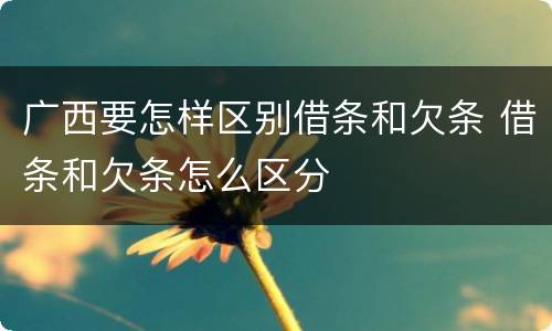 广西要怎样区别借条和欠条 借条和欠条怎么区分