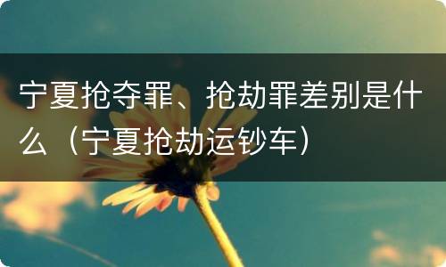 宁夏抢夺罪、抢劫罪差别是什么（宁夏抢劫运钞车）
