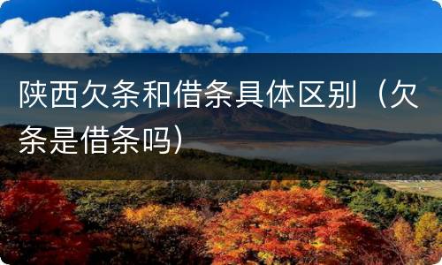 陕西欠条和借条具体区别（欠条是借条吗）
