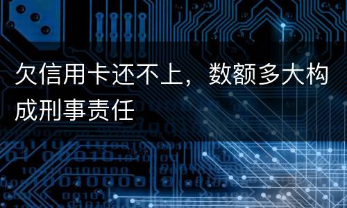 欠信用卡还不上，数额多大构成刑事责任