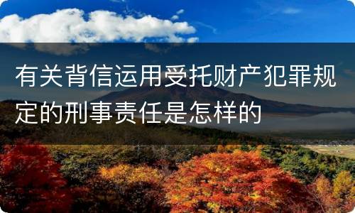 有关背信运用受托财产犯罪规定的刑事责任是怎样的