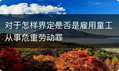 对于怎样界定是否是雇用童工从事危重劳动罪