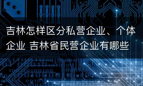 吉林怎样区分私营企业、个体企业 吉林省民营企业有哪些