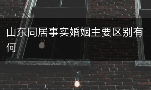 山东同居事实婚姻主要区别有何