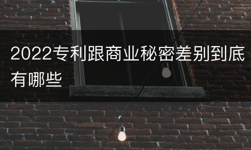2022专利跟商业秘密差别到底有哪些