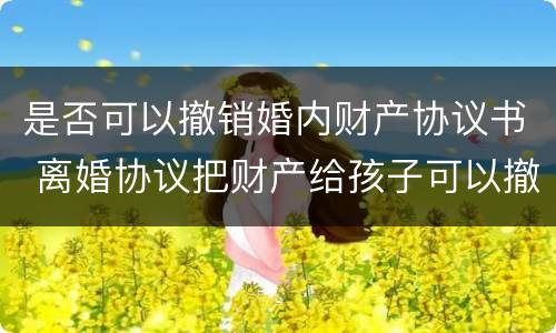 是否可以撤销婚内财产协议书 离婚协议把财产给孩子可以撤销么