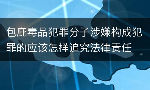 包庇毒品犯罪分子涉嫌构成犯罪的应该怎样追究法律责任