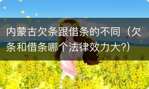 内蒙古欠条跟借条的不同（欠条和借条哪个法律效力大?）