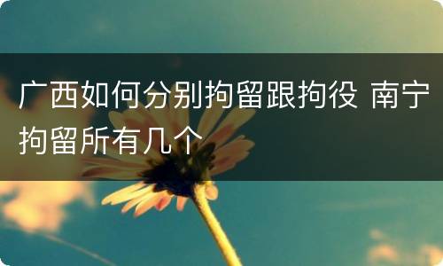 广西如何分别拘留跟拘役 南宁拘留所有几个