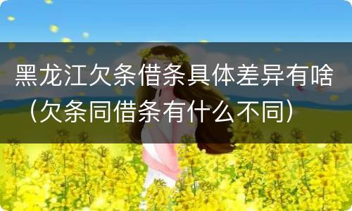 黑龙江欠条借条具体差异有啥（欠条同借条有什么不同）