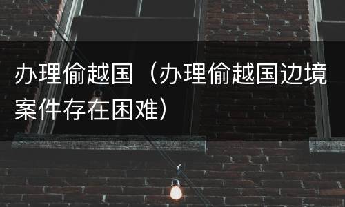 办理偷越国（办理偷越国边境案件存在困难）
