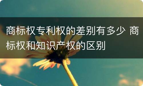 商标权专利权的差别有多少 商标权和知识产权的区别