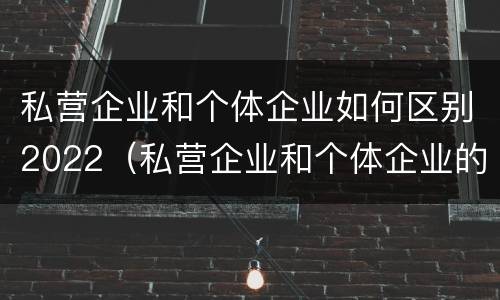 私营企业和个体企业如何区别2022（私营企业和个体企业的区别）