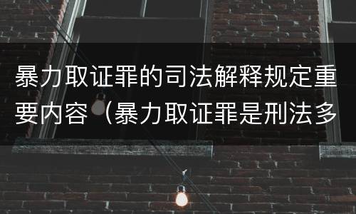 暴力取证罪的司法解释规定重要内容（暴力取证罪是刑法多少条）