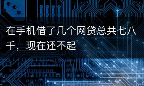 在手机借了几个网贷总共七八千，现在还不起