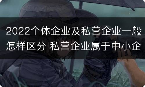 2022个体企业及私营企业一般怎样区分 私营企业属于中小企业吗