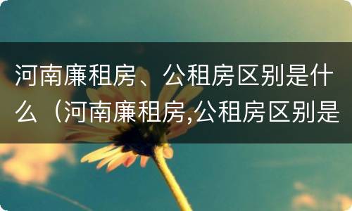 河南廉租房、公租房区别是什么（河南廉租房,公租房区别是什么呢）