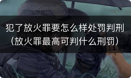 犯了放火罪要怎么样处罚判刑（放火罪最高可判什么刑罚）