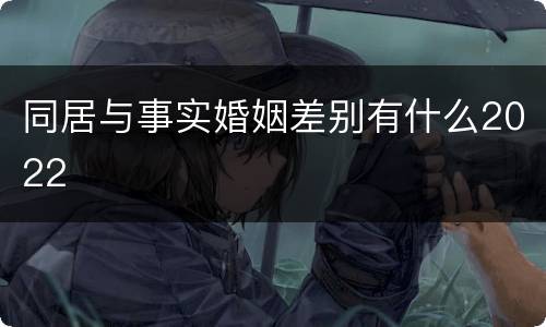 同居与事实婚姻差别有什么2022