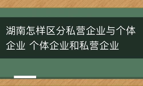 湖南怎样区分私营企业与个体企业 个体企业和私营企业