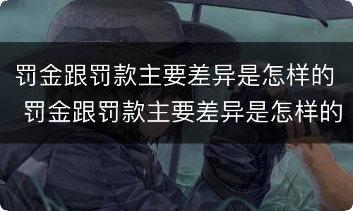 罚金跟罚款主要差异是怎样的 罚金跟罚款主要差异是怎样的情况