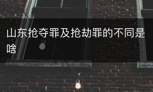 山东抢夺罪及抢劫罪的不同是啥