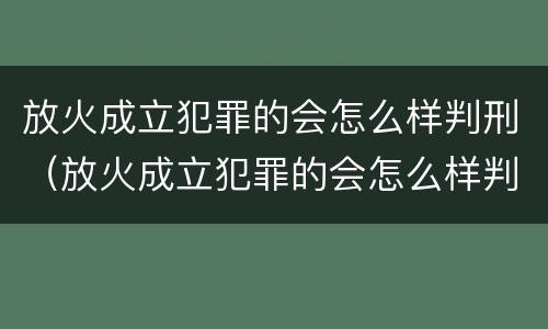 放火成立犯罪的会怎么样判刑（放火成立犯罪的会怎么样判刑吗）