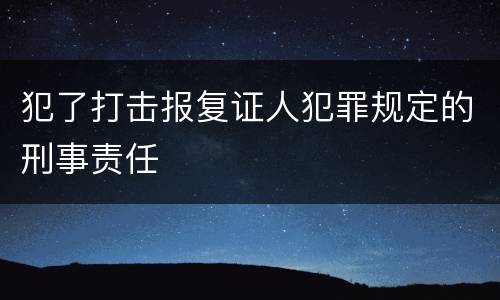 犯了打击报复证人犯罪规定的刑事责任