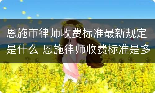 恩施市律师收费标准最新规定是什么 恩施律师收费标准是多少