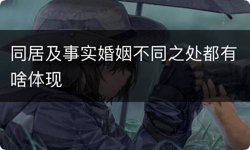 同居及事实婚姻不同之处都有啥体现