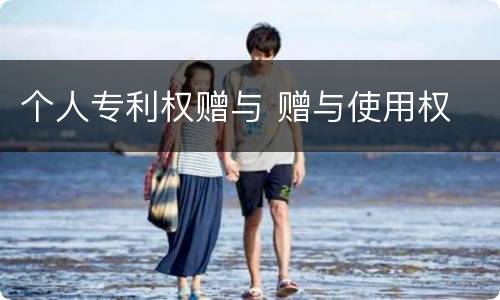 个人专利权赠与 赠与使用权