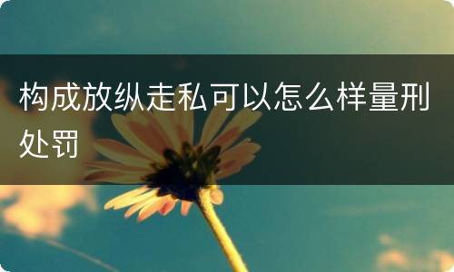 构成放纵走私可以怎么样量刑处罚