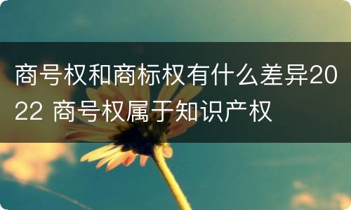 商号权和商标权有什么差异2022 商号权属于知识产权