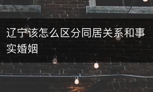 辽宁该怎么区分同居关系和事实婚姻