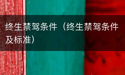 终生禁驾条件（终生禁驾条件及标准）