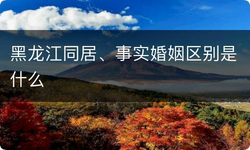 黑龙江同居、事实婚姻区别是什么