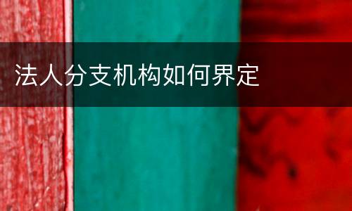 法人分支机构如何界定