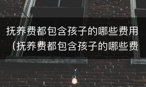 抚养费都包含孩子的哪些费用（抚养费都包含孩子的哪些费用和费用）