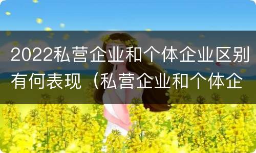2022私营企业和个体企业区别有何表现（私营企业和个体企业的区别）