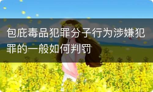 包庇毒品犯罪分子行为涉嫌犯罪的一般如何判罚