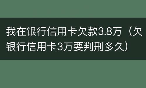 我在银行信用卡欠款3.8万（欠银行信用卡3万要判刑多久）